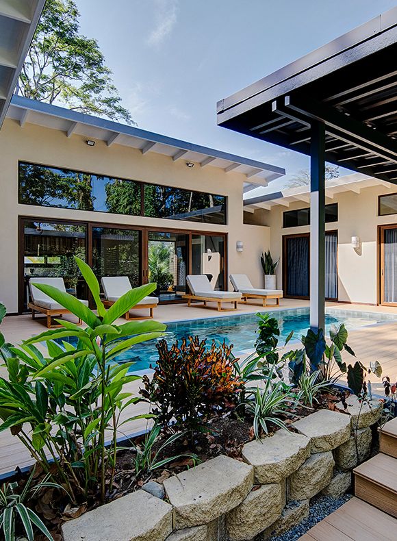 Vista aérea exterior con piscina entre palmeras y jardín tropical